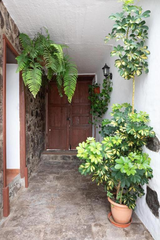 Casa Canaria Acero Garachico  Buitenkant foto
